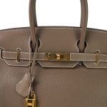 Birkin 30 Etoupe Togo Gold Plated Y Stamp - Image 3