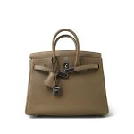 Birkin 25 Beige Marfa Togo Palladium Plated W Stamp - Image 3