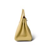 Birkin 25 Jaune Poussin Togo Gold Plated Z Stamp - Image 4