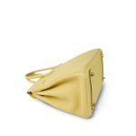 Birkin 25 Jaune Poussin Togo Gold Plated Z Stamp - Image 12