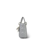 Opaline Gray Pearlescent Cannage Lambskin - Image 7