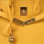 Birkin 30 Jaune Ambre Veau Togo Gold Plated C Stamp - Image 9