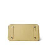 Birkin 25 Jaune Poussin Togo Palladium Plated Z Stamp - Image 8