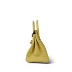 Birkin 25 Jaune Poussin Togo Palladium Plated W Stamp - Image 7