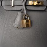 Birkin 25 Gris Meyer Togo Gold Plated W Stamp - Image 8