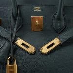 Birkin 30 Vert Cypress Togo Gold Plated C Stamp - Image 5