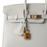 Birkin 25 Beton Togo Rose Gold Plated D Stamp - Image 2