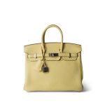 Birkin 25 Jaune Poussin Togo Palladium Plated Z Stamp