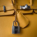 Birkin 25 Jaune Ambre Togo Palladium Plated Z Stamp - Image 2