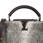 Louis Vuitton Capucines BB Brown/White Mink Taurillon Gold Hardware - Image 13