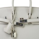 Birkin 25 Beton Togo Palladium Plated D Stamp - Image 3