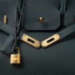 Birkin 30 Vert Cypress Togo Gold Plated C Stamp - Image 7