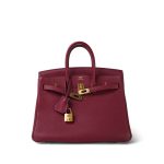 Birkin 25 Rouge Grenat Togo Gold Plated X Stamp - Image 7