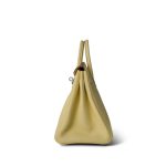 Birkin 25 Jaune Poussin Togo Palladium Plated Z Stamp - Image 5