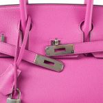 Birkin 30 Magnolia Veau Taurillon Novillo Palladium Plated C Stamp - Image 4