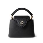 Louis Vuitton Black Taurillon Mini Capucines - Image 3