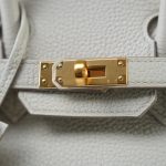 Birkin 25 Beton Veau Togo Gold Plated C Stamp - Image 3
