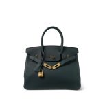 Birkin 30 Vert Cypress Togo Gold Plated C Stamp - Image 4