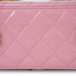 Pink Glazed Calfskin Quilted Small Vanity Case Gold Hardware - Image 17