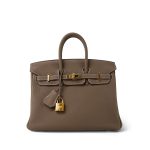 Birkin 25 Etoupe Togo Gold Plated D Stamp