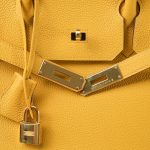 Birkin 30 Jaune Ambre Veau Togo Gold Plated C Stamp - Image 5