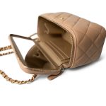 Beige Lambskin Quilted Pearl Crush Vanity Case With Chain Aged Gold Hardware - Image 12