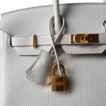 Birkin 25 Gris Pale Togo Gold Plated B Stamp - Image 8