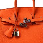 Birkin 25 Orange Minium Togo Palladium Plated B Stamp - Image 6