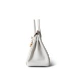 Birkin 25 Gris Pale Togo Gold Plated B Stamp - Image 13