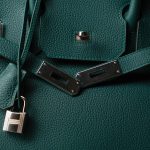 Birkin 30 Malachite Togo Palladium Plated C Stamp - Image 6