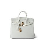 Birkin 25 Mushroom Veau Togo Gold Plated B Stamp - Image 12