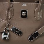 Shoulder Birkin 42 Etoupe Togo Palladium Plated [M] Stamp - Image 18