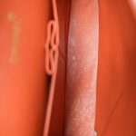 Burnt Orange Lambskin Quilted Classic Flap Medium Gold Hardware - Image 13