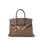 Birkin 30 Etoupe Togo Gold Plated Y Stamp - Image 6