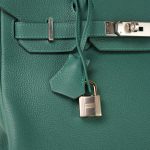 Birkin 30 Malachite Togo Palladium Plated D Stamp - Image 3