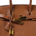 Birkin 30 Gold Togo Gold Plated A Stamp - Image 6
