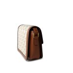 Celine Teen Triomphe Bag Canvas and Calfskin White - Image 11