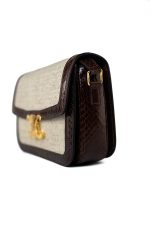 Celine Triomph Bag in Textile and Whips - Image 5