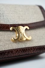 Celine Triomph Bag in Textile and Whips - Image 15