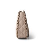 Light Beige Small Lambskin Quilted Hobo Bag - Image 2