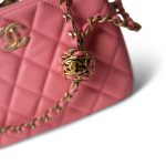 22S Pink Lambskin Quilted Camera Case Aged Gold Hardware - Image 13