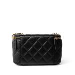 Black Lambskin Quilted Pearl Crush Vanity Case With Chain Antique Gold - Image 12