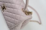 21A Lilac Coco Handle Medium (Old Small) LGHW - Image 14