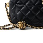 22S Black Lambskin Quilted Camera Case Aged Gold Hardware / Gold Interior - Image 2