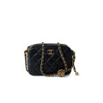 22S Black Lambskin Quilted Camera Case Aged Gold Hardware / Gold Interior - Image 3