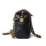 22S Black Lambskin Quilted Camera Case Aged Gold Hardware / Gold Interior - Image 7