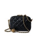 22S Black Lambskin Quilted Camera Case Aged Gold Hardware / Gold Interior - Image 8
