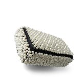 19S Pearl On Flap Mini Rectangular Bag Light Gold Hardware - Image 9