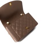 Vintage Brown Caviar Quilted Medium Diana Flap Gold Hardware - Image 5