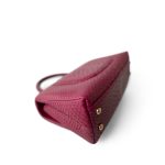 Small / Old Mini Burgundy Python Coco Handle Aged Gold Hardware - Image 9